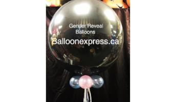 Girl or Boy Gender Reveal - Balloon Express